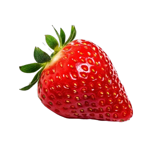 DeWatermark.ai_1747234631796-removebg-preview