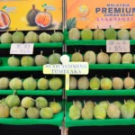 laifa durian