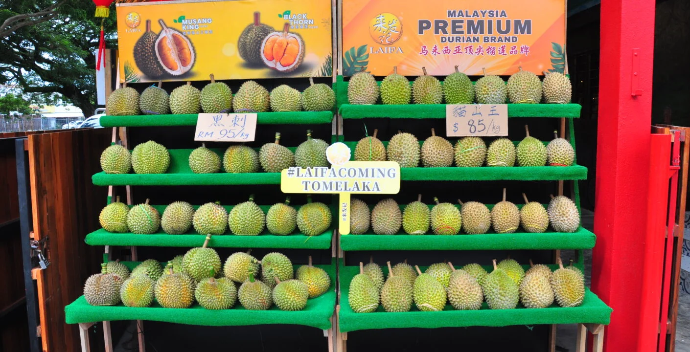 laifa durian