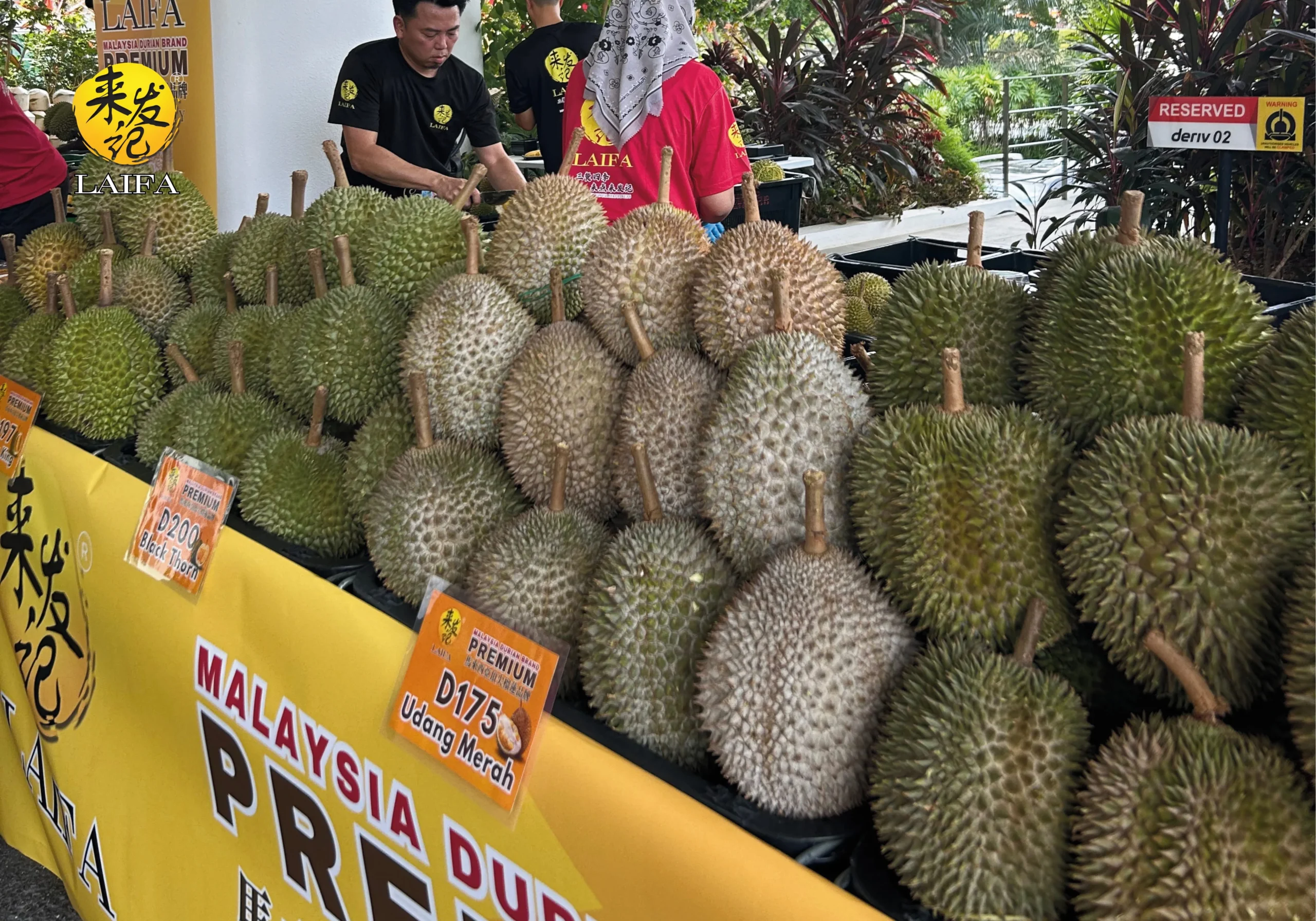 LAIFA Event 2025 (1)-17