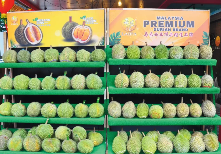 Rows of Musang King and Black Thorn durians on green shelves at a LAIFA event in Malaysia, with a large sign advertising 'Malaysia Premium Durian Brand'.